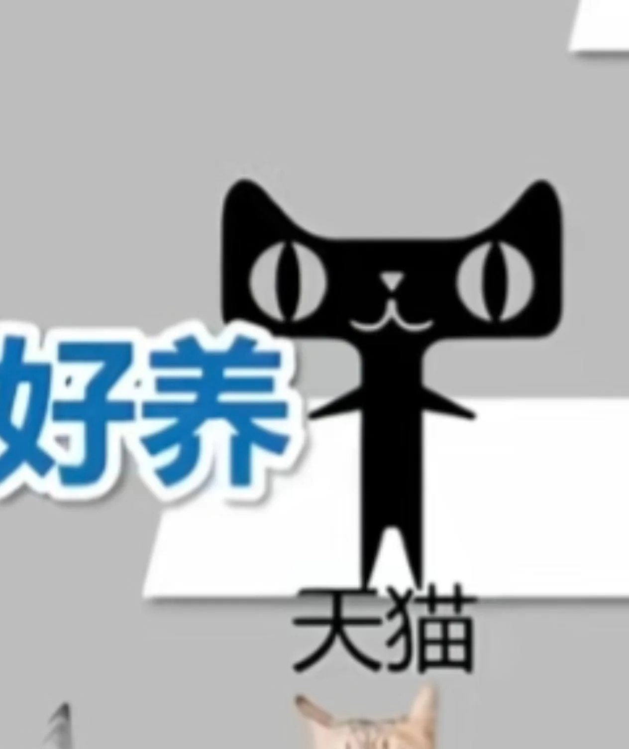 出闲置宠物，图片 1