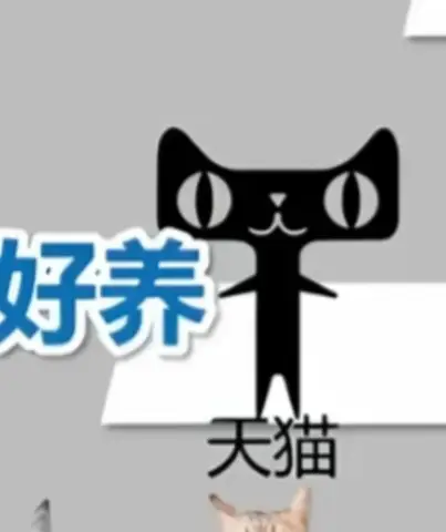 出闲置宠物