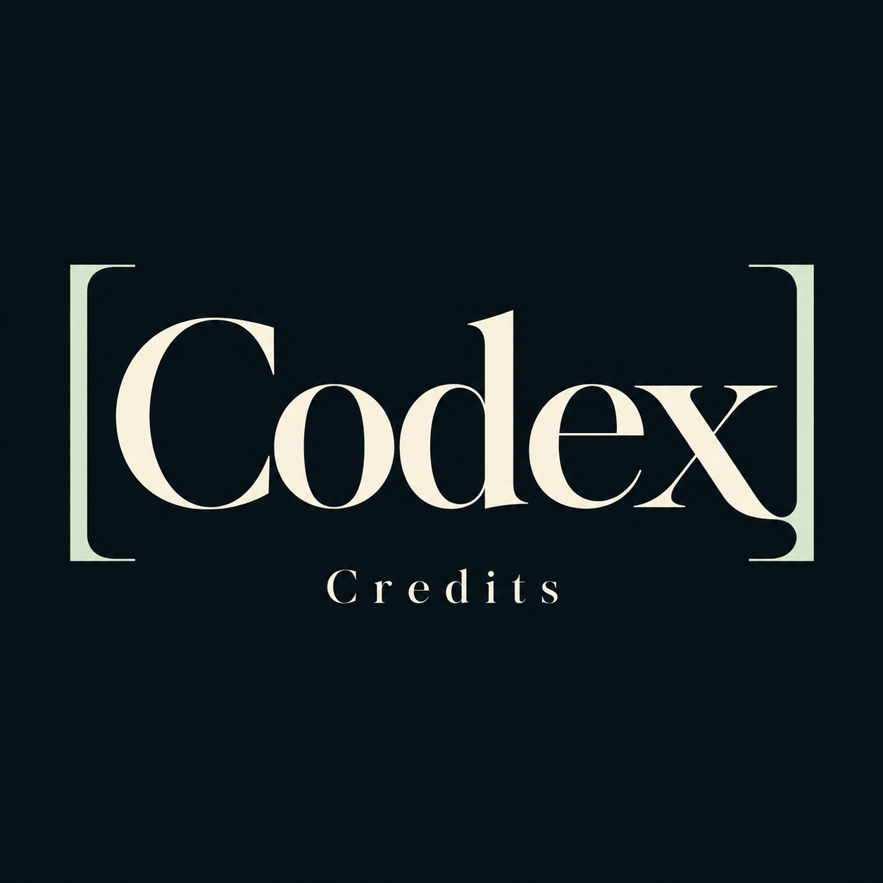 Codex 额度